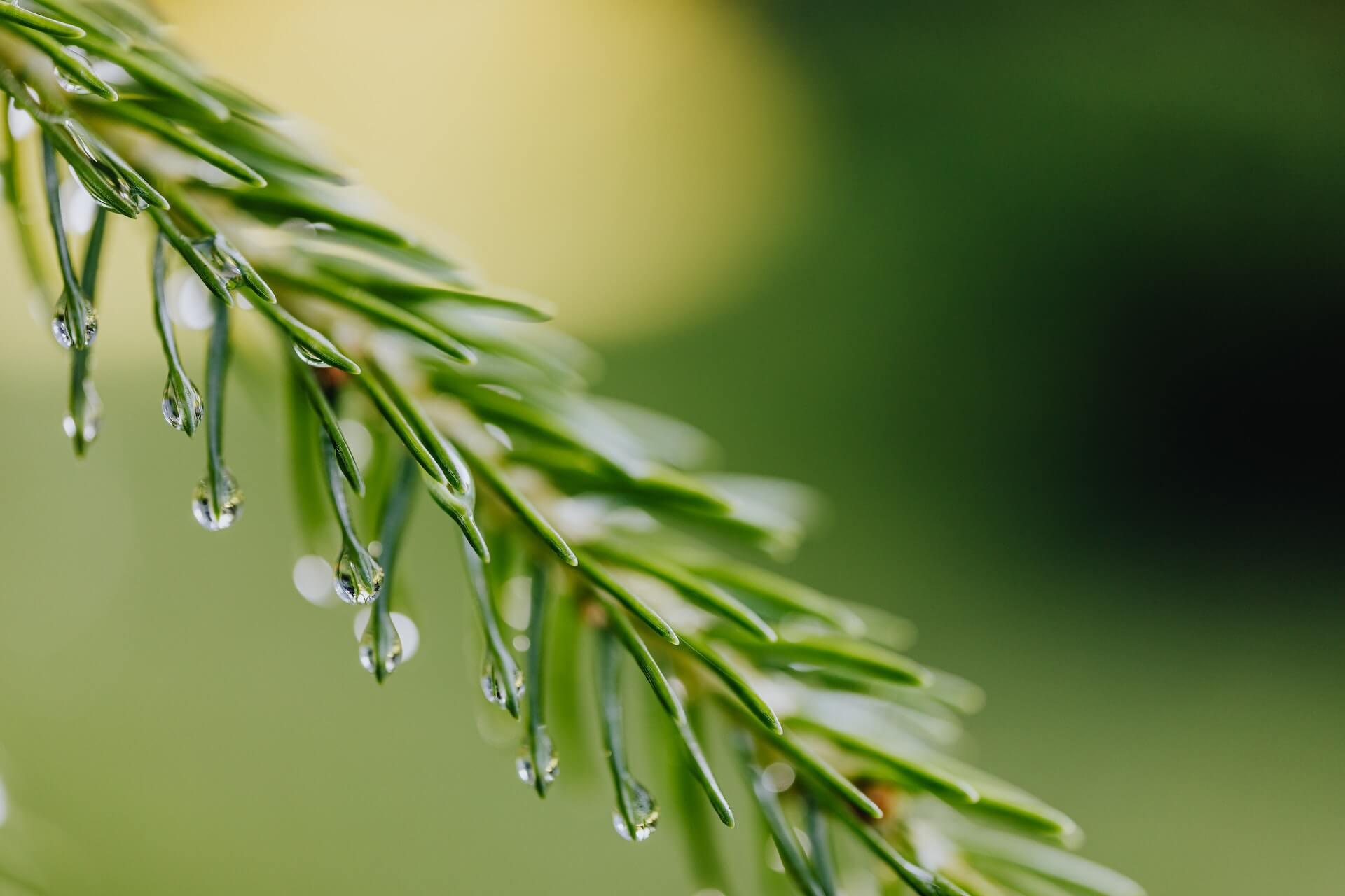 Patient Center - Beacon Acupuncture